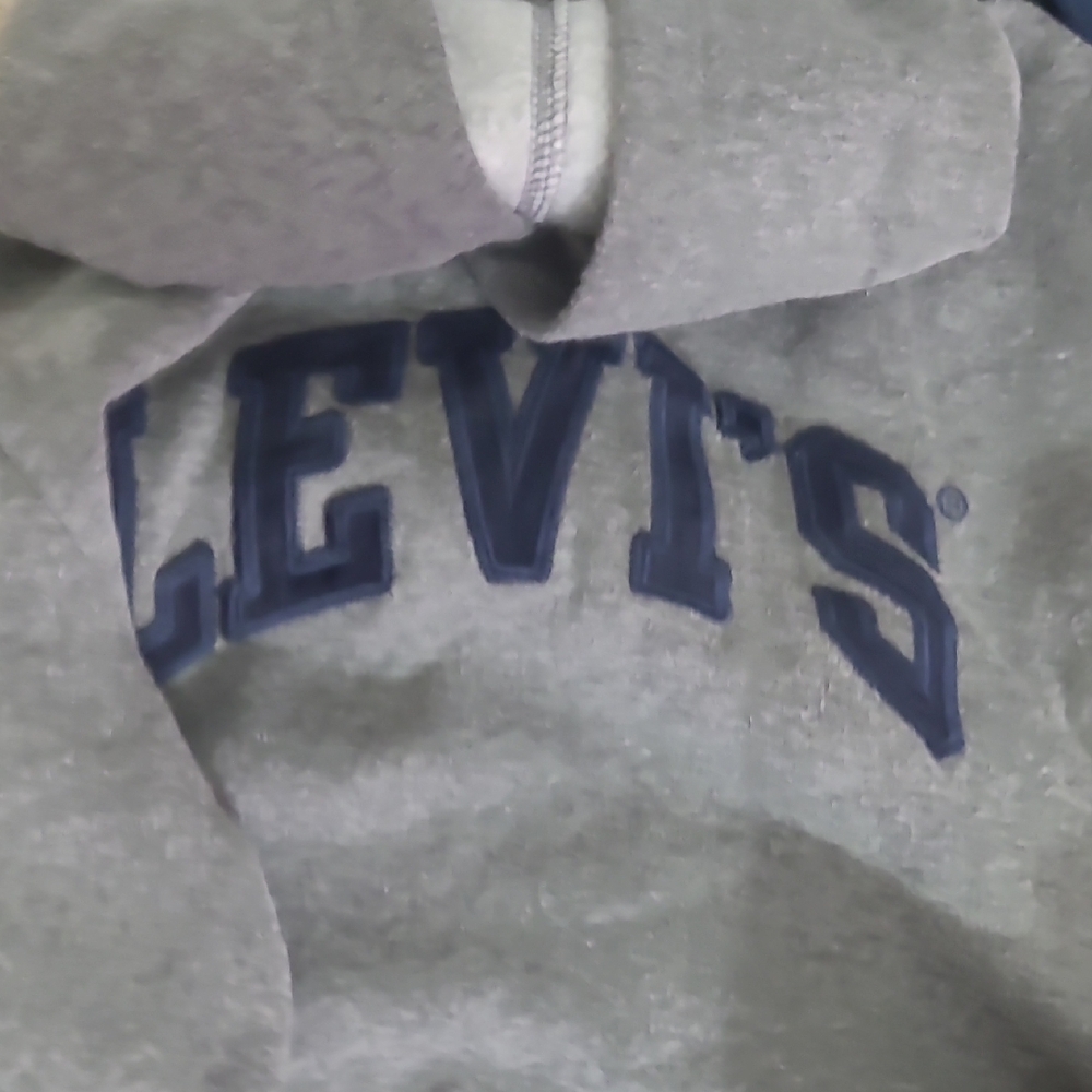 Kids Levi's Gray Sweatshirt with Navy Logo, Size L